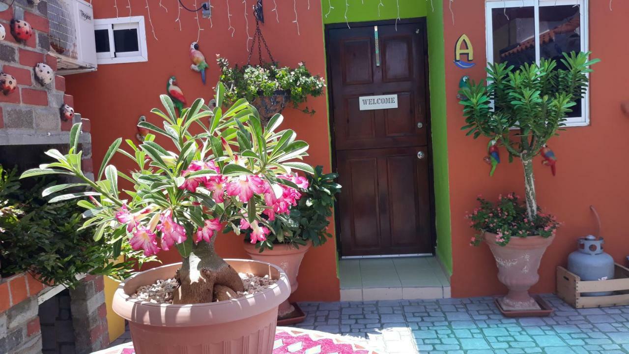 וילמסטאד Terrakota Apartments מראה חיצוני תמונה